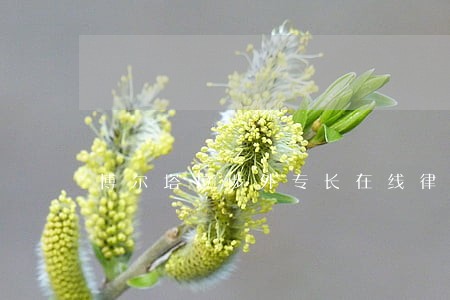 博尔塔拉涉外专长在线律师 博尔塔拉涉外专长在线律师