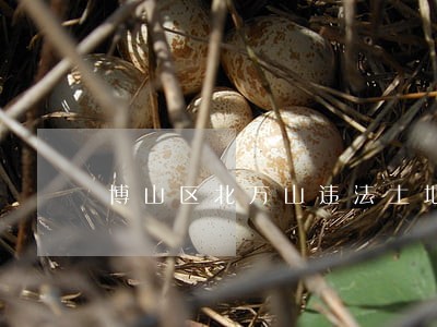博山区北万山违法土地 博山区北万山违法土地