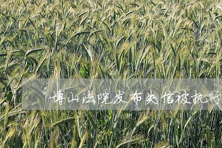博山法院发布失信被执行人名单 博山法院发布失信被执行人名单
