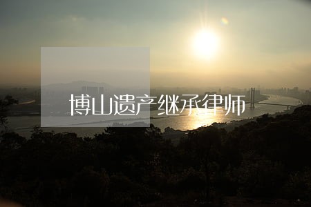 博山遗产继承律师