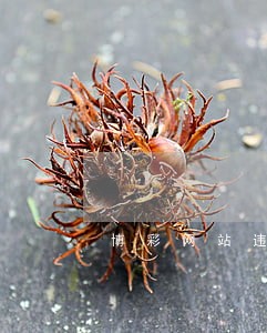 博彩网站违法吗 博彩网站违法吗