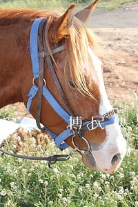 博民快易贷逾期150天还款 博民快易贷逾期150天还款