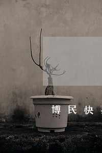 博民快易贷逾期3万 博民快易贷逾期3万