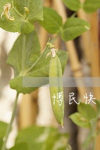 博民快易贷逾期一万多 博民快易贷逾期一万多