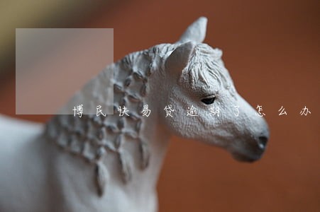 博民快易贷逾期了怎么办 博民快易贷逾期了怎么办