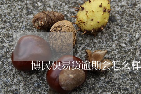 博民快易贷逾期会怎么样 博民快易贷逾期会怎么样