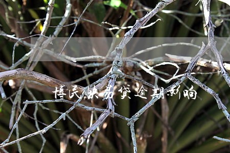 博民快易贷逾期影响 博民快易贷逾期影响