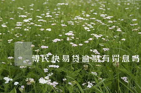 博民快易贷逾期有罚息吗 博民快易贷逾期有罚息吗