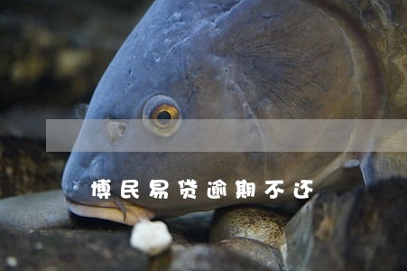 博民易贷逾期不还 博民易贷逾期不还