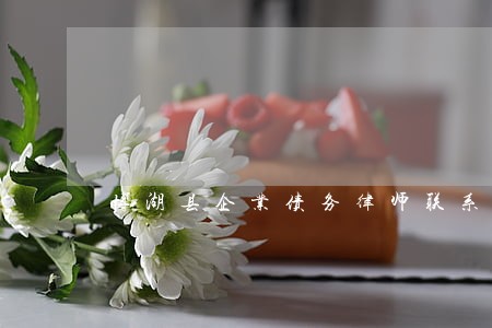 博湖县企业债务律师联系方式 博湖县企业债务律师联系方式