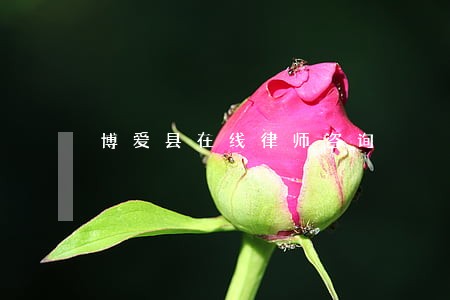 博爱县在线律师咨询 博爱县在线律师咨询