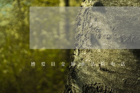 博爱县金城乡法院电话