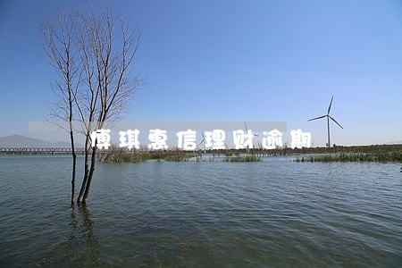 博琪惠信理财逾期 博琪惠信理财逾期