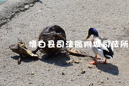 博白县司法局附城司法所 博白县司法局附城司法所