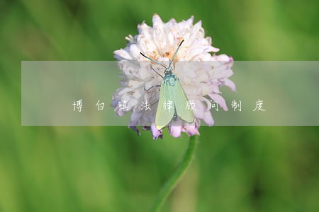 博白镇法律顾问制度 博白镇法律顾问制度