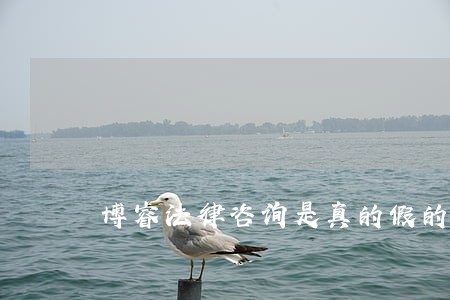 博睿法律咨询是真的假的 博睿法律咨询是真的假的