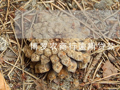 博罗农商行逾期贷款 博罗农商行逾期贷款