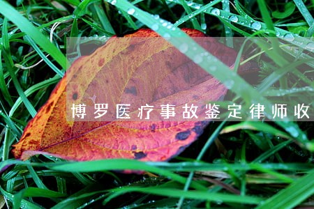 博罗医疗事故鉴定律师收费 博罗医疗事故鉴定律师收费