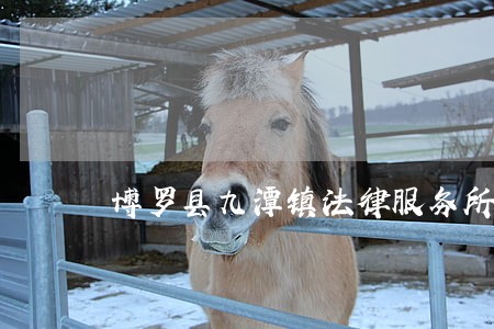 博罗县九潭镇法律服务所 博罗县九潭镇法律服务所