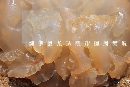 博罗县龙法院审理周某航 博罗县龙法院审理周某航