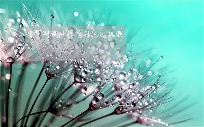 博罗湖镇掀起学习宪法热潮 博罗湖镇掀起学习宪法热潮