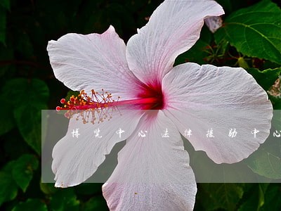 博览中心法律援助中心