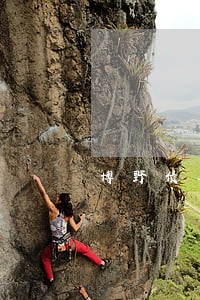 博野债务纠纷律师费用 博野债务纠纷律师费用