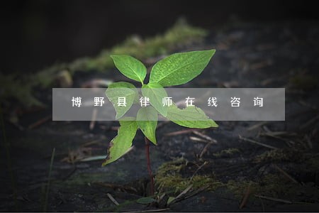 博野县律师在线咨询 博野县律师在线咨询