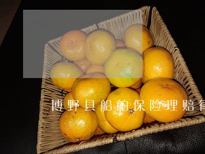 博野县船舶保险理赔律师 博野县船舶保险理赔律师