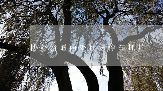 博野新增两处违法停车抓拍 博野新增两处违法停车抓拍