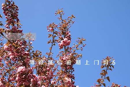 博雅诚信逾期上门吗6