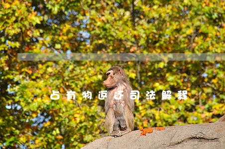 占有物返还司法解释 占有物返还司法解释