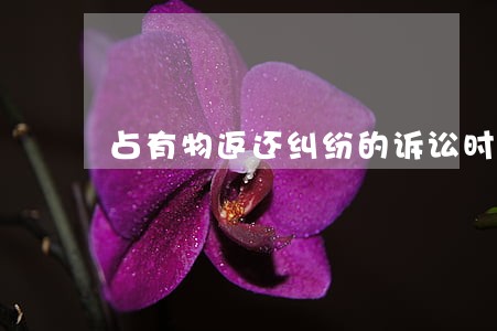 占有物返还纠纷的诉讼时效是多久 占有物返还纠纷的诉讼时效是多久