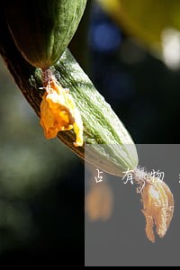 占有物返还请求权民法总则