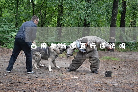 占用左转道直行违法吗 占用左转道直行违法吗