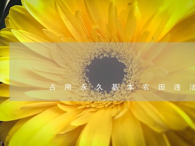 占用永久基本农田违法吗 占用永久基本农田违法吗