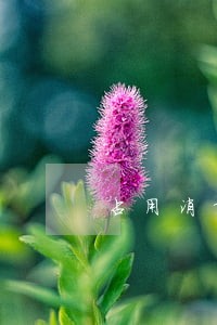 占用消防通道属于哪类违法 占用消防通道属于哪类违法