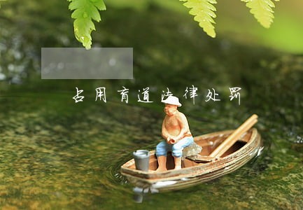 占用盲道法律处罚 占用盲道法律处罚