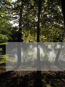 卡0逾期一直不还
