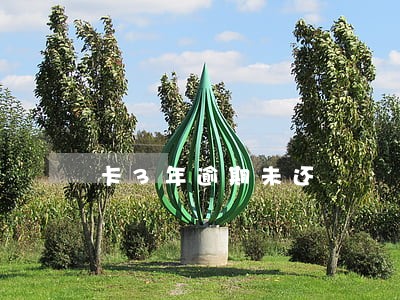 卡3年逾期未还