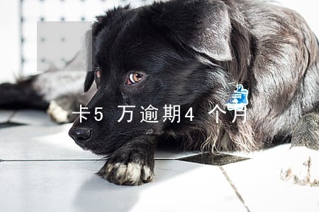 卡5万逾期4个月