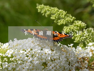 卡不逾期会不会封卡