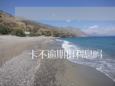 卡不逾期扣利息吗