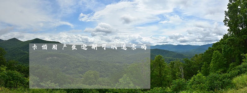 卡借用产生逾期可以追索吗