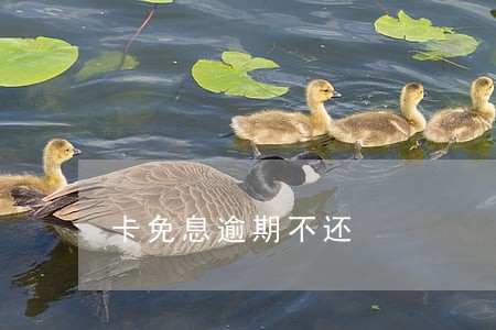 卡免息逾期不还