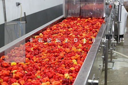 卡农论坛2018现金巴士逾期