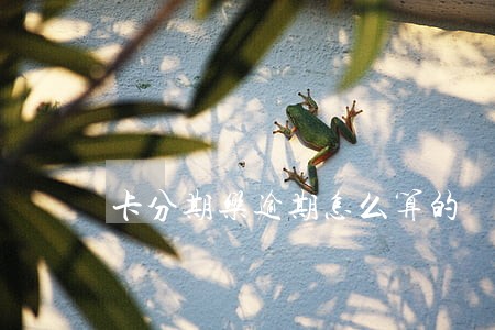 卡分期乐逾期怎么算的