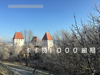 卡卡贷1000逾期 卡卡贷1000逾期