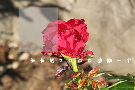 卡卡贷2000逾期一个月6 卡卡贷2000逾期一个月6