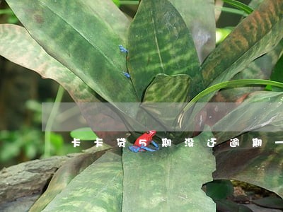 卡卡贷5期没还逾期一年 卡卡贷5期没还逾期一年